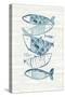 Driftwood Blue Fish II-Mercedes Lopez Charro-Stretched Canvas