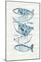 Driftwood Blue Fish II-Mercedes Lopez Charro-Mounted Art Print