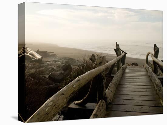 Driftwood Bridge Entrance from Trail, Kalaloch Beach, Olympic National Park, Washington, USA-Trish Drury-Stretched Canvas