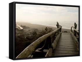 Driftwood Bridge Entrance from Trail, Kalaloch Beach, Olympic National Park, Washington, USA-Trish Drury-Framed Stretched Canvas