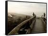 Driftwood Bridge Entrance from Trail, Kalaloch Beach, Olympic National Park, Washington, USA-Trish Drury-Framed Stretched Canvas