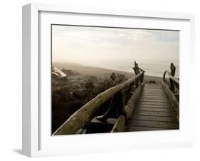 Driftwood Bridge Entrance from Trail, Kalaloch Beach, Olympic National Park, Washington, USA-Trish Drury-Framed Photographic Print