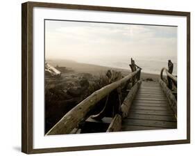 Driftwood Bridge Entrance from Trail, Kalaloch Beach, Olympic National Park, Washington, USA-Trish Drury-Framed Photographic Print