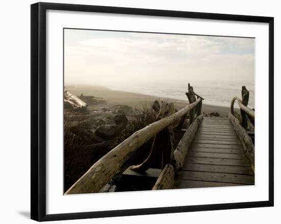 Driftwood Bridge Entrance from Trail, Kalaloch Beach, Olympic National Park, Washington, USA-Trish Drury-Framed Photographic Print