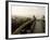 Driftwood Bridge Entrance from Trail, Kalaloch Beach, Olympic National Park, Washington, USA-Trish Drury-Framed Photographic Print