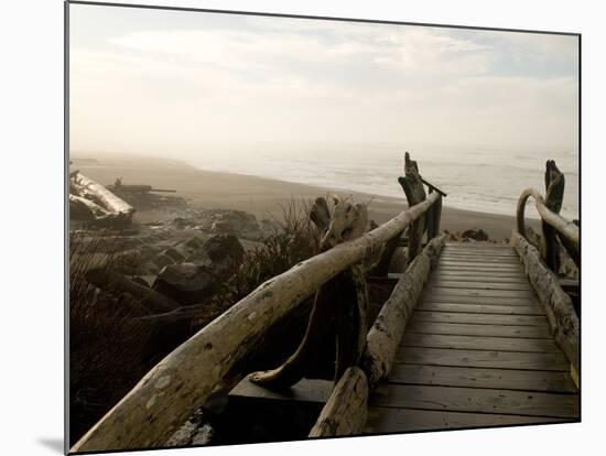 Driftwood Bridge Entrance from Trail, Kalaloch Beach, Olympic National Park, Washington, USA-Trish Drury-Mounted Photographic Print