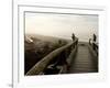 Driftwood Bridge Entrance from Trail, Kalaloch Beach, Olympic National Park, Washington, USA-Trish Drury-Framed Photographic Print