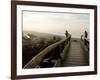 Driftwood Bridge Entrance from Trail, Kalaloch Beach, Olympic National Park, Washington, USA-Trish Drury-Framed Photographic Print