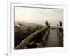 Driftwood Bridge Entrance from Trail, Kalaloch Beach, Olympic National Park, Washington, USA-Trish Drury-Framed Photographic Print