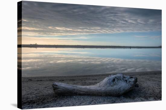 Driftwood Estuary-Nathan Secker-Stretched Canvas
