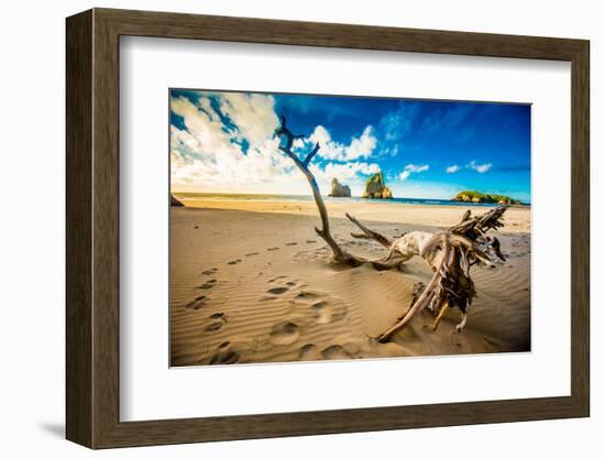 Driftwood in Golden Bay, Tasman Region, South Island, New Zealand, Pacific-Laura Grier-Framed Photographic Print