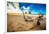 Driftwood in Golden Bay, Tasman Region, South Island, New Zealand, Pacific-Laura Grier-Framed Photographic Print