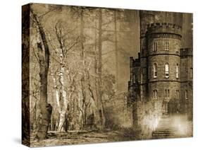 Driftwood Manor-Yanni Theodorou-Stretched Canvas