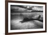 Driftwood on a Beach-George Oze-Framed Photographic Print