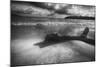 Driftwood on a Beach-George Oze-Mounted Photographic Print