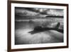 Driftwood on a Beach-George Oze-Framed Photographic Print