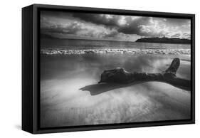 Driftwood on a Beach-George Oze-Framed Stretched Canvas