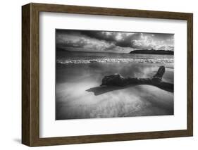 Driftwood on a Beach-George Oze-Framed Photographic Print