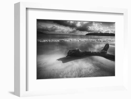 Driftwood on a Beach-George Oze-Framed Photographic Print