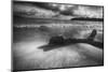 Driftwood on a Beach-George Oze-Mounted Photographic Print