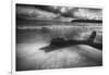 Driftwood on a Beach-George Oze-Framed Photographic Print