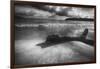 Driftwood on a Beach-George Oze-Framed Photographic Print