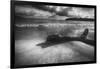 Driftwood on a Beach-George Oze-Framed Photographic Print