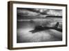 Driftwood on a Beach-George Oze-Framed Photographic Print