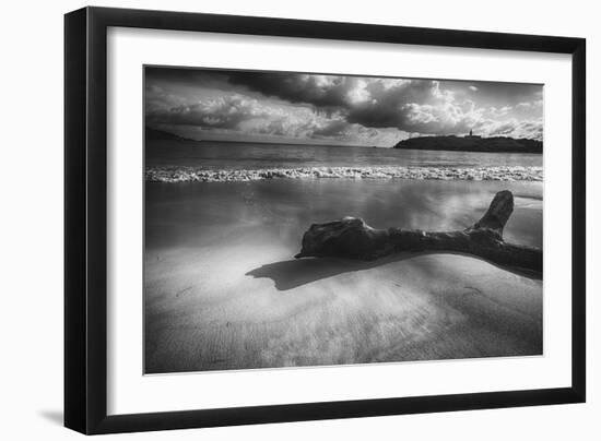 Driftwood on a Beach-George Oze-Framed Photographic Print