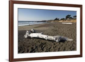 Driftwood on Beach-Stuart-Framed Photographic Print