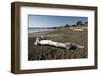 Driftwood on Beach-Stuart-Framed Photographic Print