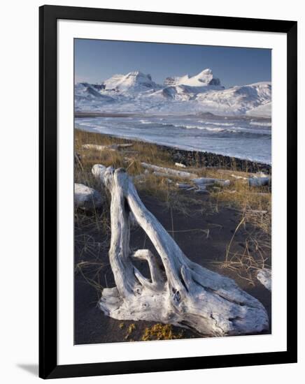 Driftwood on Shores of Borgarfjordur Eystri Fjord, Mount Dyrfjoll-Patrick Dieudonne-Framed Photographic Print