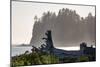 Driftwood on the beach at La Push on the Pacific Northwest coast, Washington State, United States o-Martin Child-Mounted Photographic Print