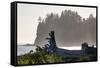 Driftwood on the beach at La Push on the Pacific Northwest coast, Washington State, United States o-Martin Child-Framed Stretched Canvas