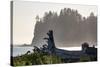 Driftwood on the beach at La Push on the Pacific Northwest coast, Washington State, United States o-Martin Child-Stretched Canvas