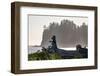 Driftwood on the beach at La Push on the Pacific Northwest coast, Washington State, United States o-Martin Child-Framed Photographic Print