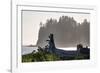 Driftwood on the beach at La Push on the Pacific Northwest coast, Washington State, United States o-Martin Child-Framed Photographic Print