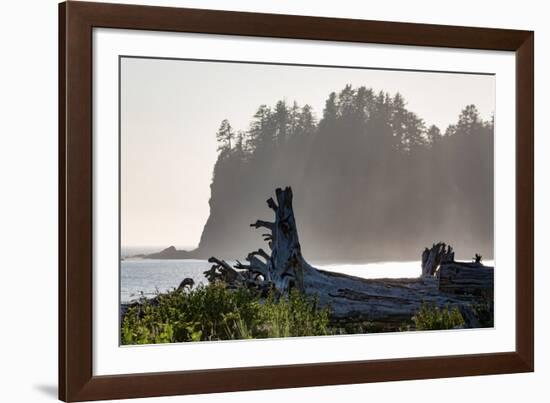 Driftwood on the beach at La Push on the Pacific Northwest coast, Washington State, United States o-Martin Child-Framed Photographic Print