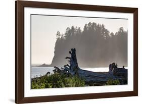 Driftwood on the beach at La Push on the Pacific Northwest coast, Washington State, United States o-Martin Child-Framed Photographic Print