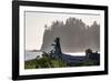 Driftwood on the beach at La Push on the Pacific Northwest coast, Washington State, United States o-Martin Child-Framed Photographic Print