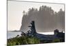 Driftwood on the beach at La Push on the Pacific Northwest coast, Washington State, United States o-Martin Child-Mounted Photographic Print