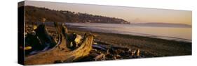 Driftwood on the Beach, Discovery Park, Mt Rainier, Seattle, King County, Washington State, USA-null-Stretched Canvas