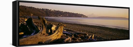 Driftwood on the Beach, Discovery Park, Mt Rainier, Seattle, King County, Washington State, USA-null-Framed Stretched Canvas