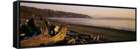 Driftwood on the Beach, Discovery Park, Mt Rainier, Seattle, King County, Washington State, USA-null-Framed Stretched Canvas
