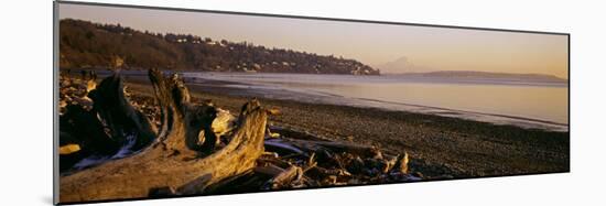 Driftwood on the Beach, Discovery Park, Mt Rainier, Seattle, King County, Washington State, USA-null-Mounted Photographic Print