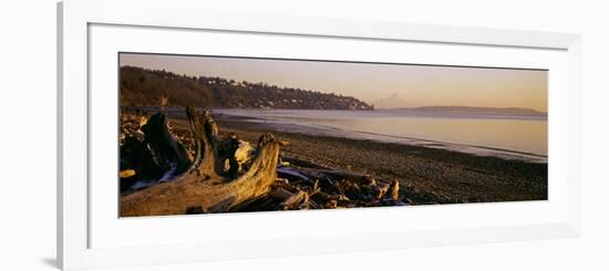 Driftwood on the Beach, Discovery Park, Mt Rainier, Seattle, King County, Washington State, USA-null-Framed Photographic Print