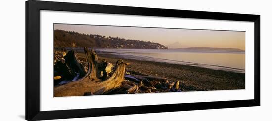 Driftwood on the Beach, Discovery Park, Mt Rainier, Seattle, King County, Washington State, USA-null-Framed Photographic Print