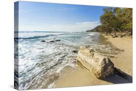 Driftwood on This Beautiful Surf Beach Near Mal Pais, Playa Santa Teresa, Costa Rica-Rob Francis-Stretched Canvas