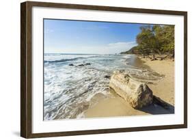 Driftwood on This Beautiful Surf Beach Near Mal Pais, Playa Santa Teresa, Costa Rica-Rob Francis-Framed Photographic Print