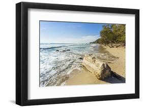 Driftwood on This Beautiful Surf Beach Near Mal Pais, Playa Santa Teresa, Costa Rica-Rob Francis-Framed Photographic Print